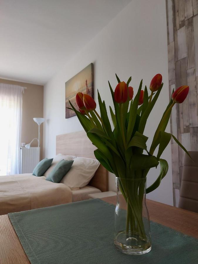 Bike & Spa Velence Apartman Exterior photo
